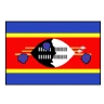 Eswatini Logo