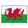 Wales Logo